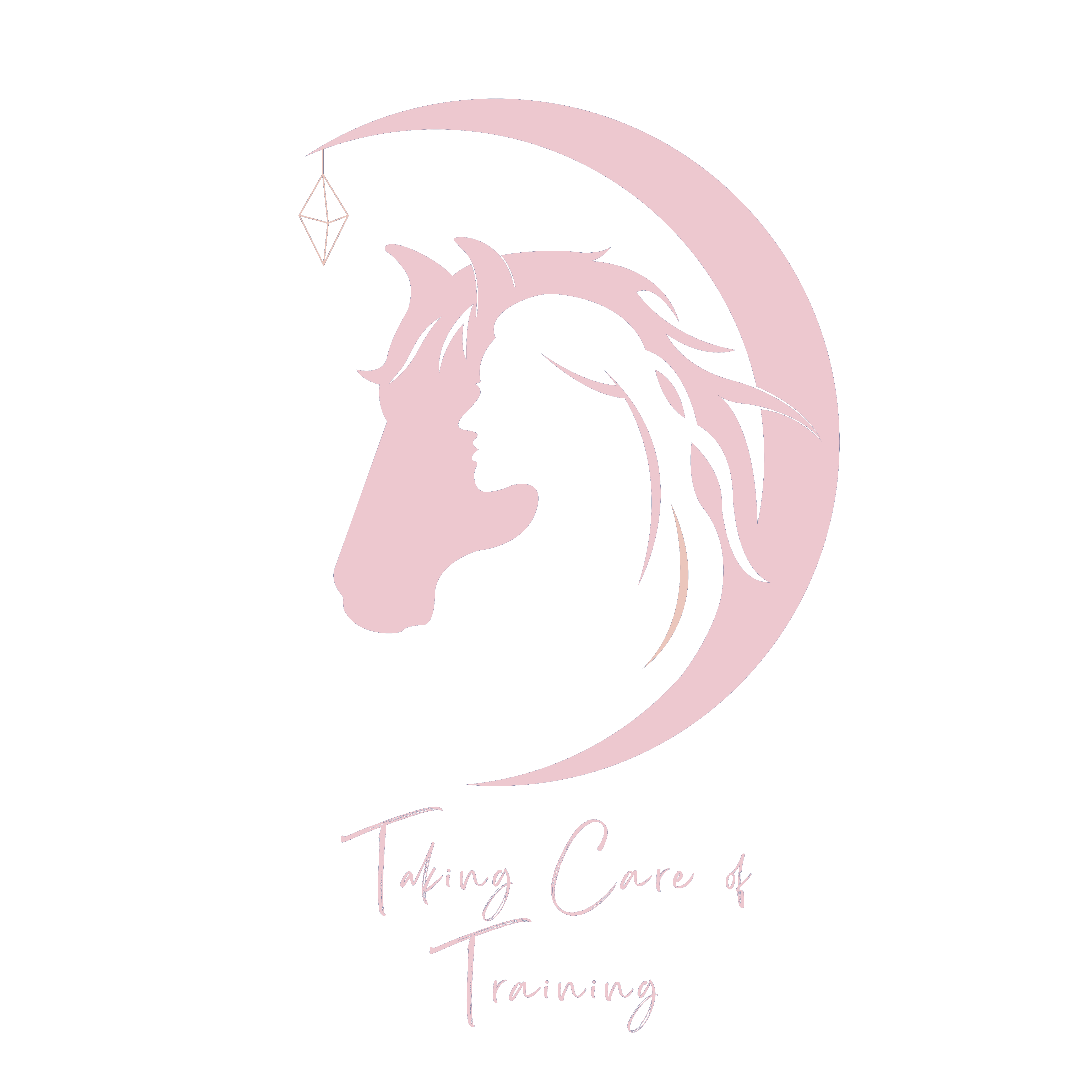 TCT Logo Training