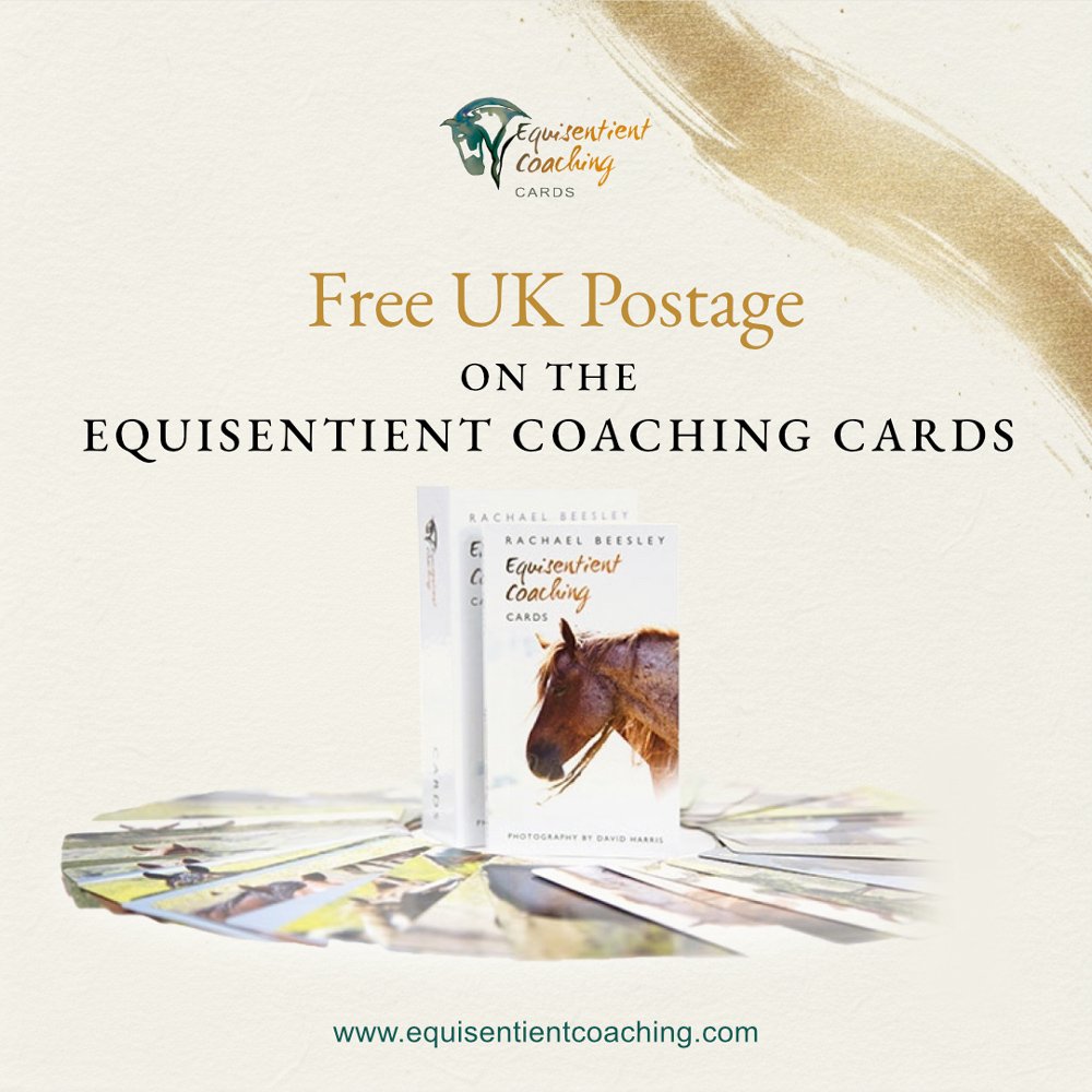 Equisentient Coaching