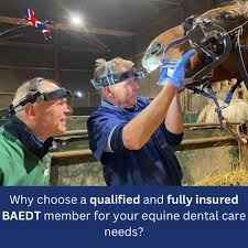 British Association of Equine Dental Technicians